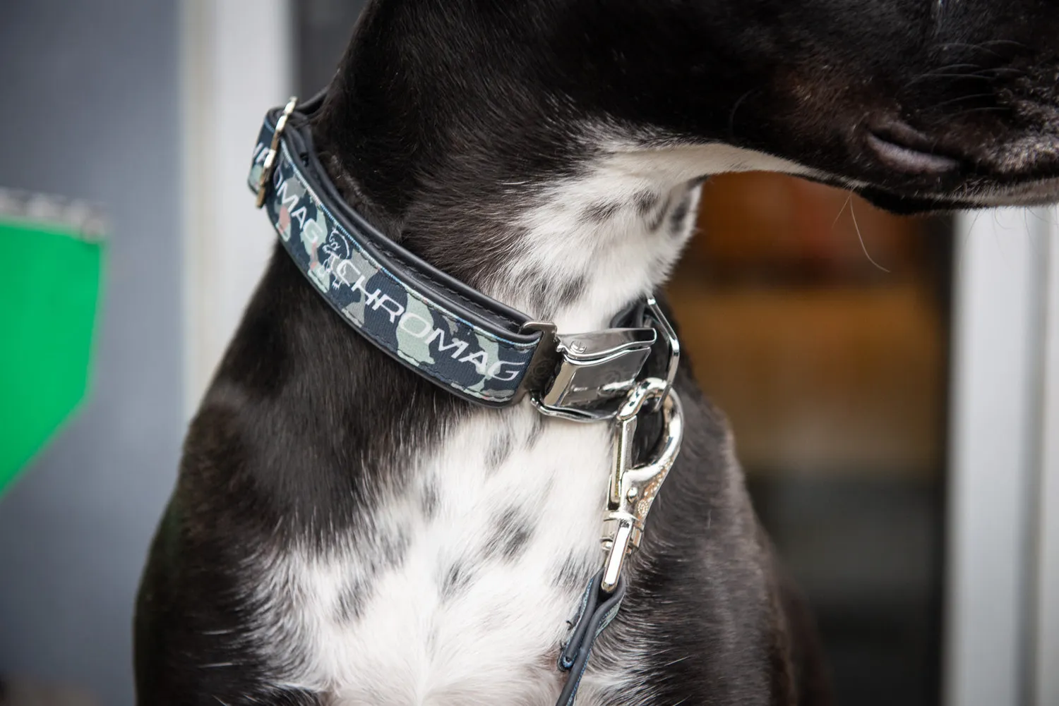 Chromag hundesnor 183 cm genbrugsslange
