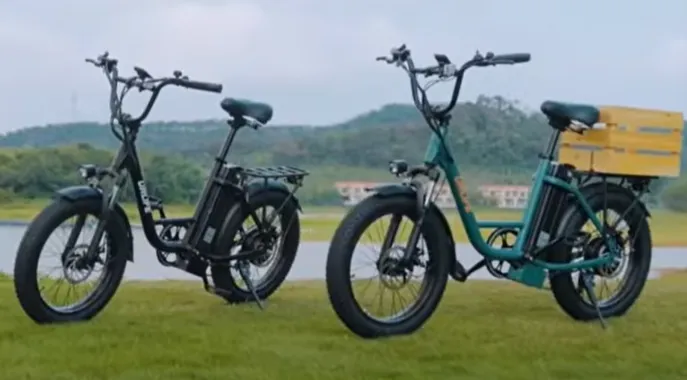 URLIFE E20 Pro elcykel sort EU-version