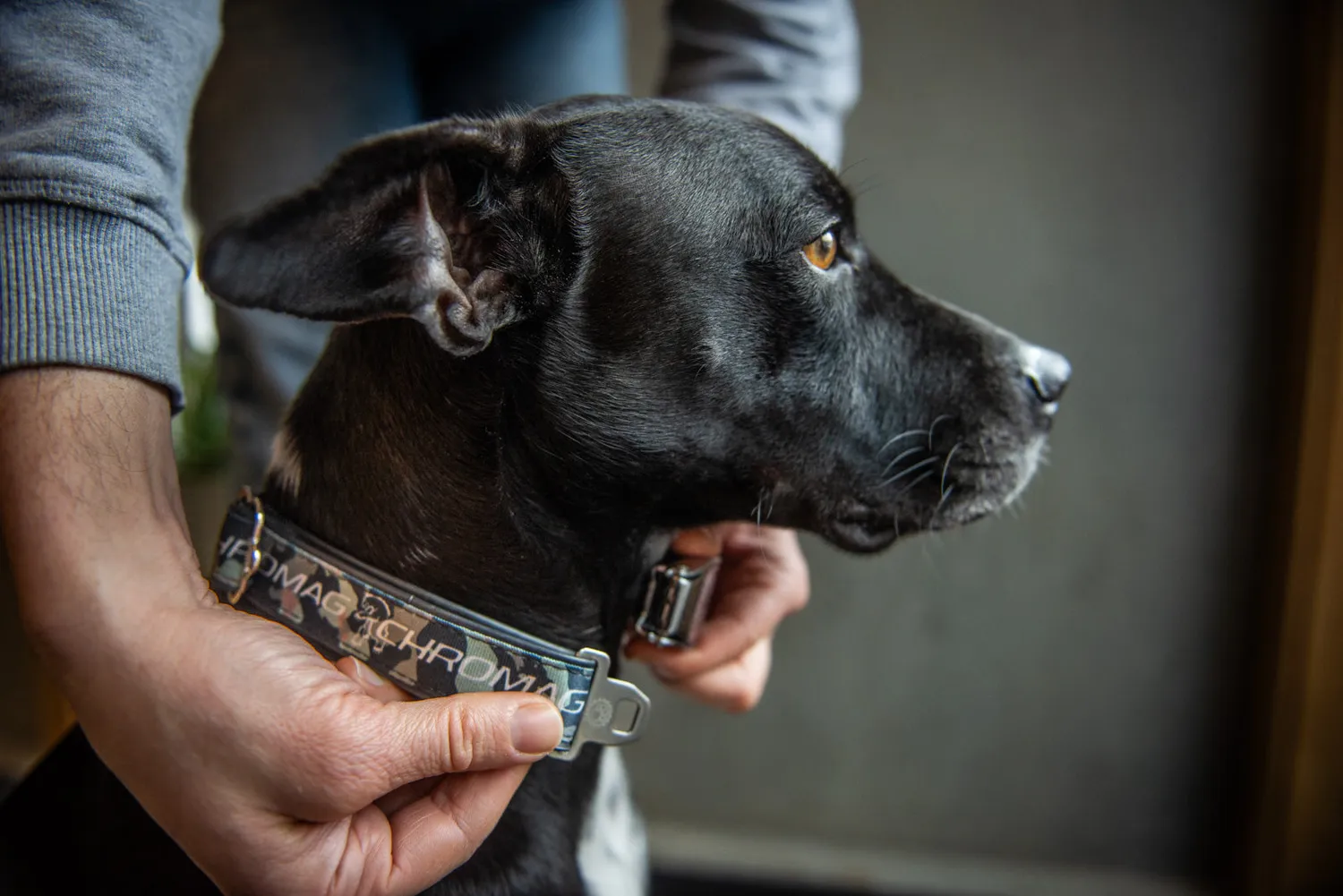 Chromag Dog Collar hundehalsbånd Earth genbrugsgummi