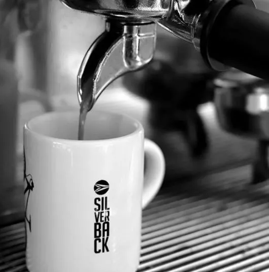 Silverback B2BF espressokop porcelæn hvid-sort