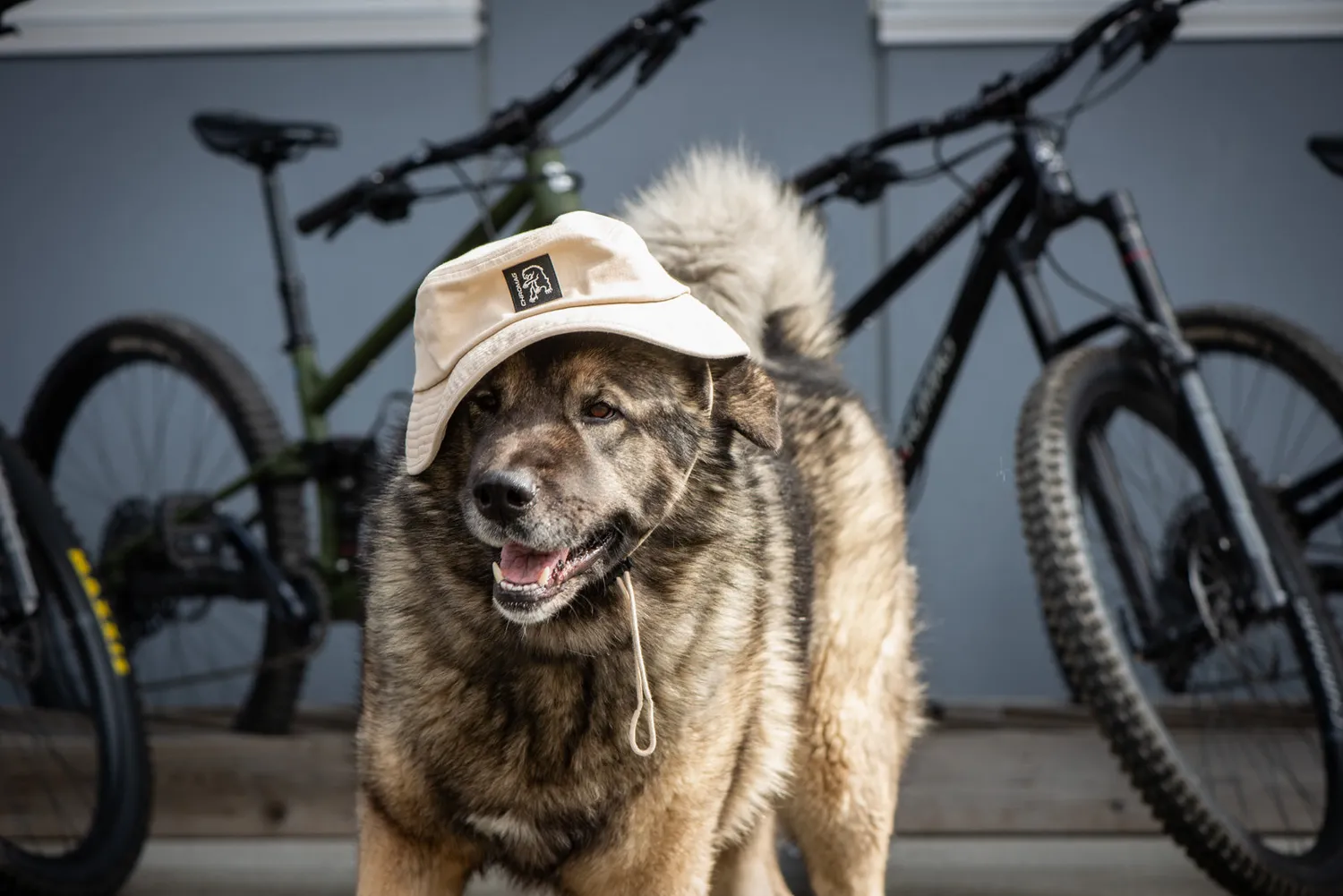 Chromag Echo Beach kasket snapback bomuld