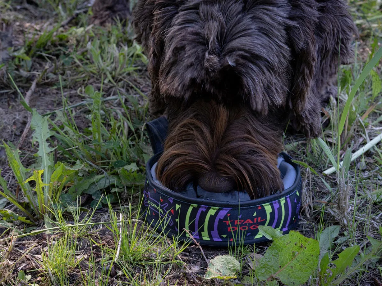 Kona Cycle Dog sammenklappelig hundeskål