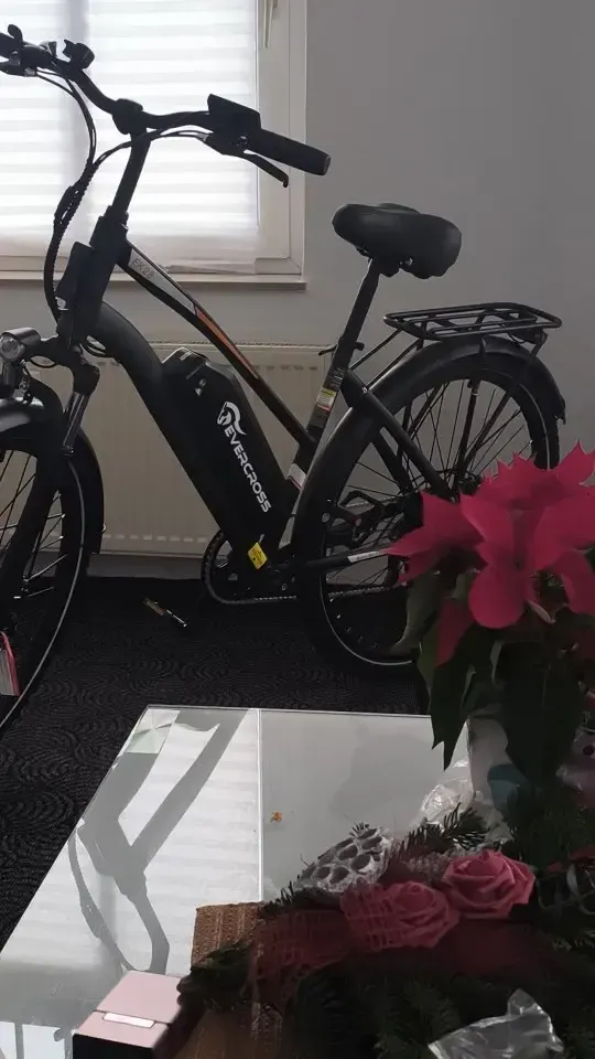 URLIFE E26 48V UK elcykel White testet på grus