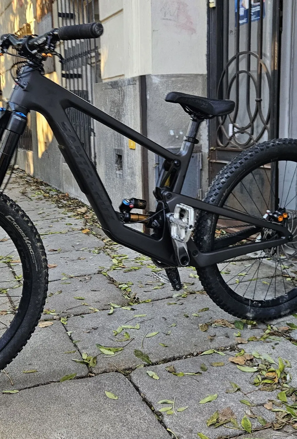Chromag Dagga Special Edition pedaler jade downhill