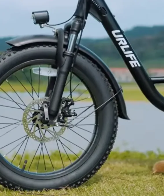 URLIFE E20 Pro elcykel sort US-version