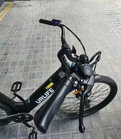 URLIFE E26 48V UK elcykel White testet på grus